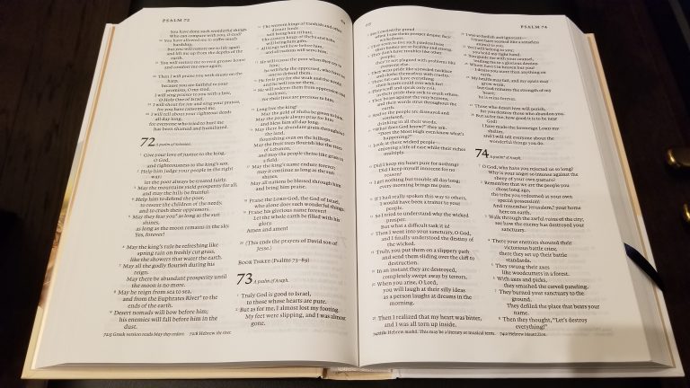 A Few Days With The New Living Translation – Catholic Edition: Part 1 