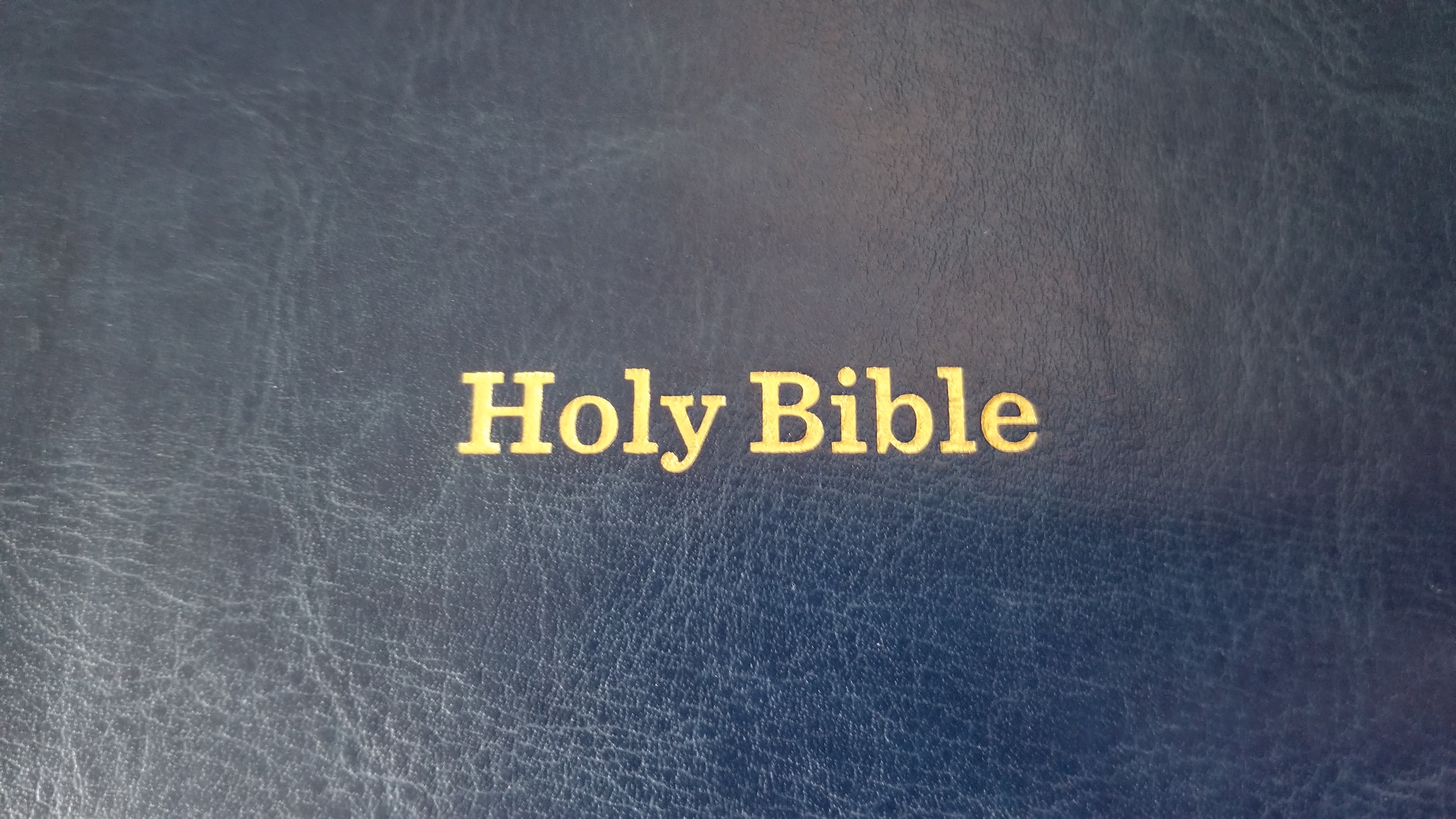 Holy Bible  The Great Adventure Catholic Bible – Ascension