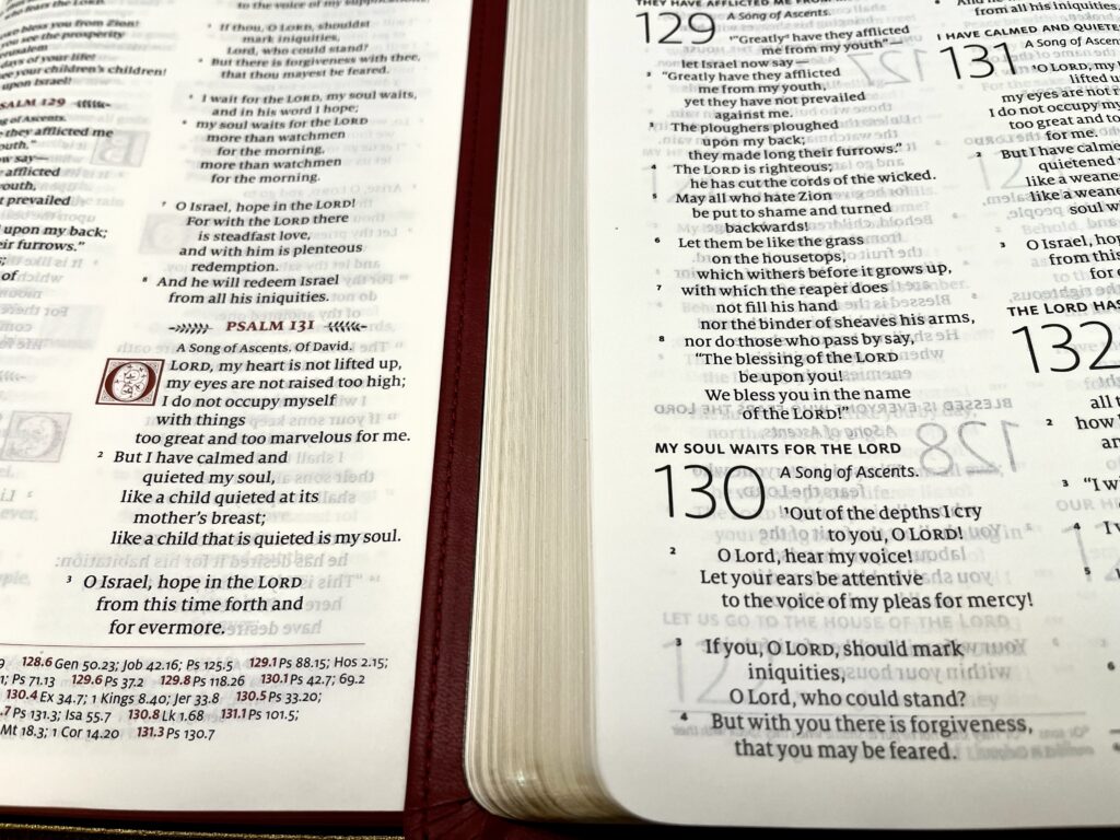 Review: Cambridge ESV-CE Cornerstone Bible (Burgundy Imitation Leather) –  Catholic Bible Talk