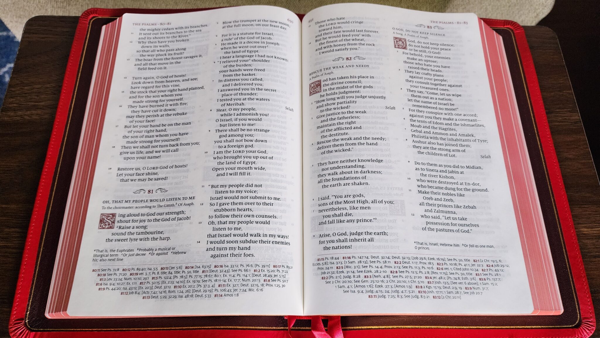 Review: Schuyler ESV Quentel with Apocrypha – Catholic Bible Talk