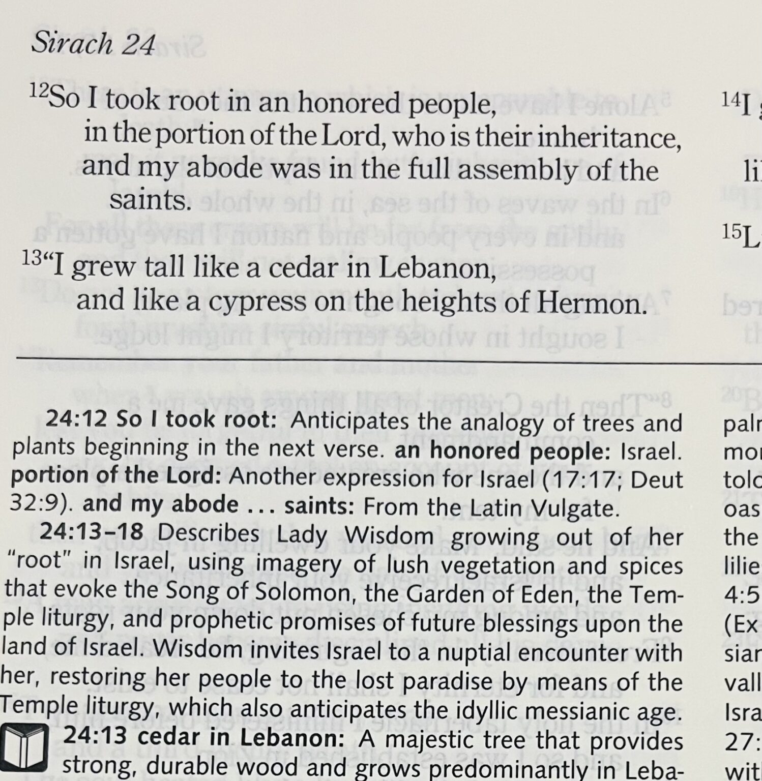 Update: Sirach 24 - Catholic Bible Talk